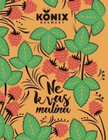 Пиво NE KVAS Malina