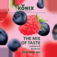 Пиво The Mix of Taste Raspberry & Blueberry