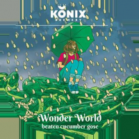 Пиво Wonder World Beaten Cucumber