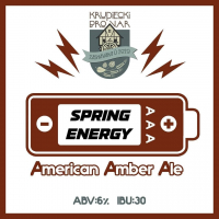 Пиво Spring Energy