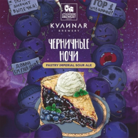 Пиво Черничные НОЧИ
