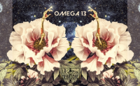 Пиво Omega 13 Пиво Omega 13