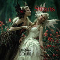 Пиво Swans Пиво Swans