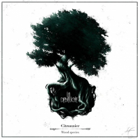 Пиво Wood Species - Citronnier