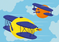 Пиво Flying Citrus