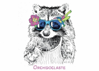 Пиво Orchidoclaste