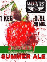 Пиво Strawberry Summer Ale