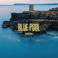 Пиво Blue Pool