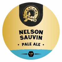 Пиво Nelson Sauvin Pale Ale Пиво Nelson Sauvin Pale Ale