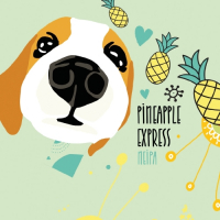 Пиво Pineapple Express (Beagle Juice Brewing)