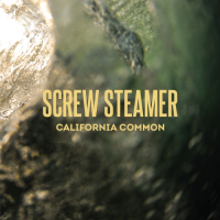 Пиво Screw Steamer