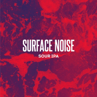 Пиво Surface Noise