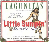 Пиво A Little Sumpin' Sumpin' Ale Пиво A Little Sumpin' Sumpin' Ale