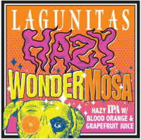 Пиво Hazy Wondermosa