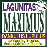 Пиво Maximus Dankulus Lupulus Пиво Maximus Dankulus Lupulus