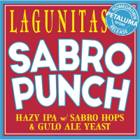 Пиво Sabro Punch Пиво Sabro Punch