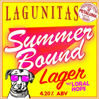 Пиво SummerBound Lager