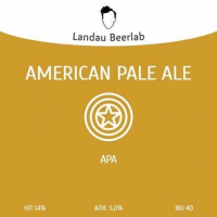 Пиво American Pale Ale