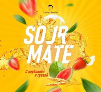 Пиво Sour Mate