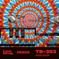 Пиво TB 303 Acid Sour