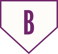 Пиво Bosse Blackberry Foeder Aged Sour