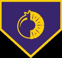 Пиво Squeeze Play - Blueberry Pineapple Пиво Squeeze Play - Blueberry Pineapple