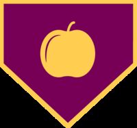 Пиво Squeeze Play - Plum Пиво Squeeze Play - Plum