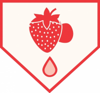 Пиво Squeeze Play - Strawberry Guava