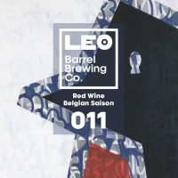 Пиво Red Wine Belgian Saison 011
