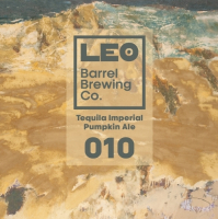 Пиво Tequila Imperial Pumpkin Ale 010