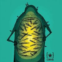 Пиво Rye IPA Пиво Rye IPA