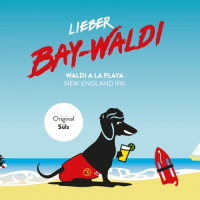 Пиво Waldi A La Playa Пиво Waldi A La Playa