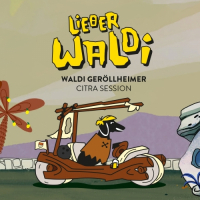 Пиво Waldi Geröllheimer