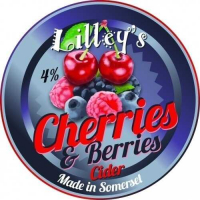 Пиво Cherries & Berries