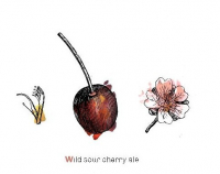 Пиво Sour Cherry - FARMER'S RESERVE