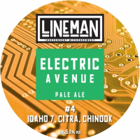 Пиво ELECTRIC AVENUE #4
