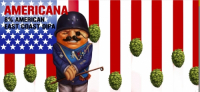 Пиво AMERICANA Пиво AMERICANA