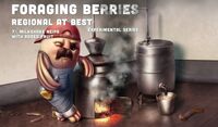 Пиво Foraging Berries - Regional at Best Series Пиво Foraging Berries - Regional at Best Series