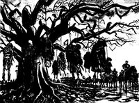 Пиво Absolute Disappointment [2024]