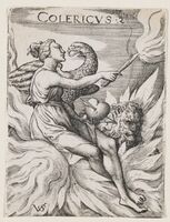 Пиво Cholericus (Холерик) [2025]