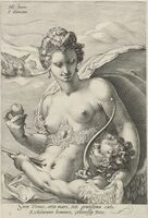 Пиво Venus (Венера) [2025]