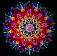 Пиво Калейдоскоп реальности