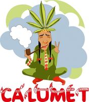 Пиво Calumet Hempen Ale