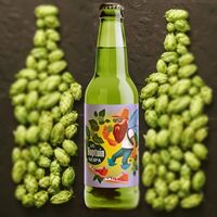 Пиво Hoptuin NEIPA