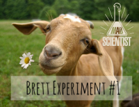 Пиво Brett Experiment #1