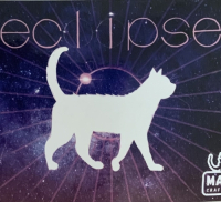 Пиво Single Hop Ale Eclipse Пиво Single Hop Ale Eclipse
