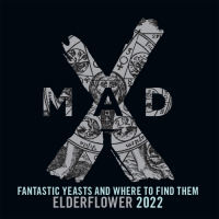 Пиво Fantastic Yeasts And Where To Find Them Elderflower 2022 Пиво Fantastic Yeasts And Where To Find Them Elderflower 2022