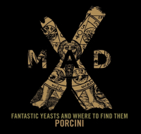 Пиво Fantastic Yeasts And Where To Find Them Porcini