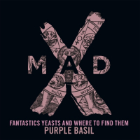 Пиво Fantastic Yeasts And Where To Find Them Purple Basil Пиво Fantastic Yeasts And Where To Find Them Purple Basil