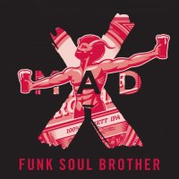 Пиво Funk Soul Brother 2019 Merlot Finish Пиво Funk Soul Brother 2019 Merlot Finish